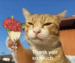thank you meme 20