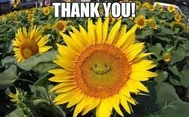 thank you meme 21