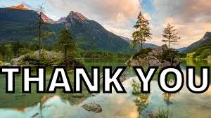 thank you meme 22
