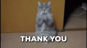 thank you meme 24