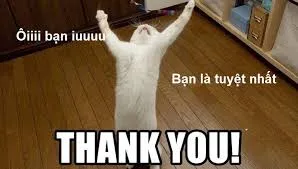 thank you meme 25