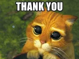 thank you meme 26