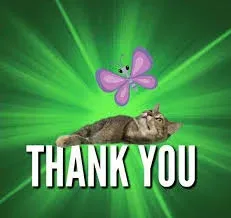 thank you meme 29