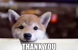 thank you meme 30