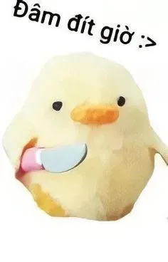 vịt meme 5