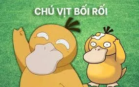 vịt meme 6