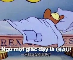 vịt meme 14