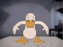 vịt meme 19