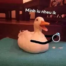 vịt meme 30