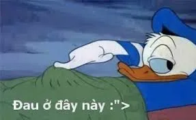 vịt meme 32
