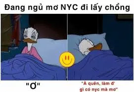 vịt meme 33