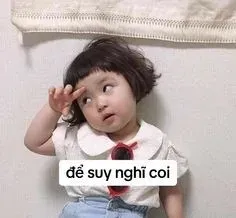vô tri meme 5