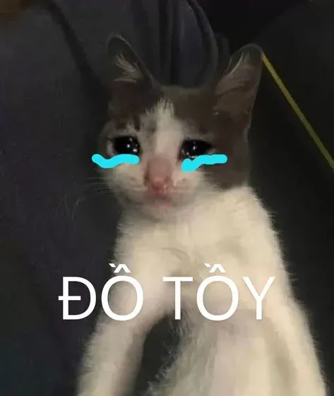 vô tri meme 11