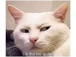 vô tri meme 26