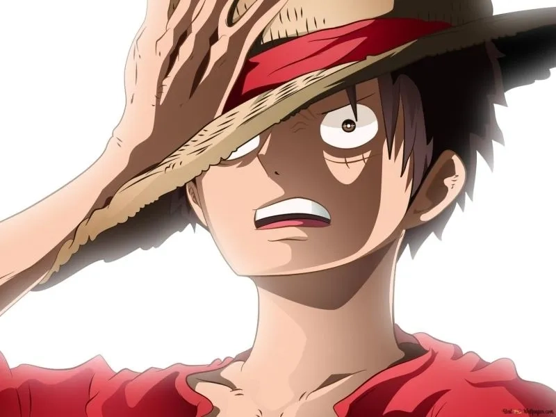 Hình nền One Piece ngầu làm nền cho máy tính thêm ấn tượng