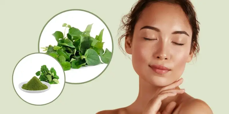 Kinh nghiệm làm đẹp bằng rau diếp cá từ thực tế