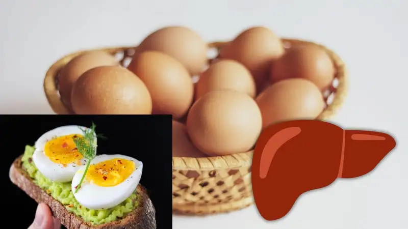 Tác hại đến tiêu hóa và gan