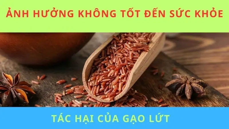 Tác hại gạo lứt đối với hệ tiêu hóa