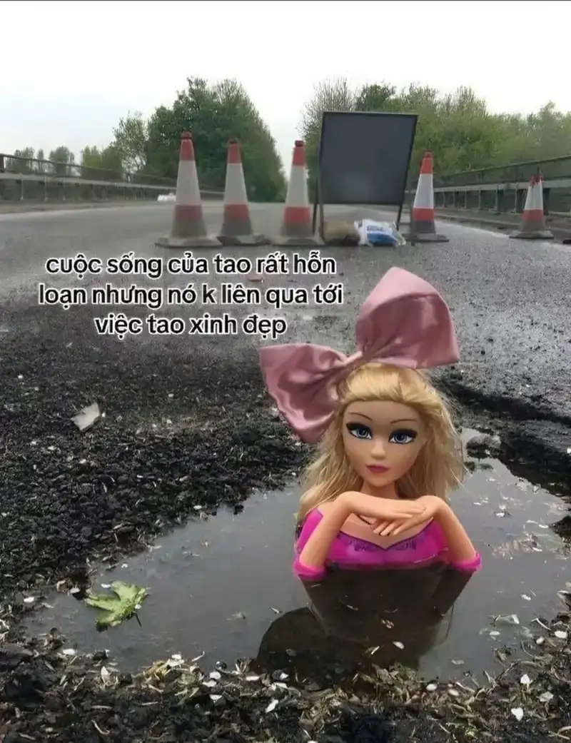 Cập nhật ngay trend công chúa meme cực hot