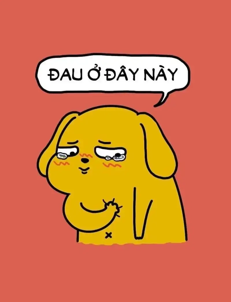 Đau ở đây này ảnh hài hước dễ chia sẻ trên mạng