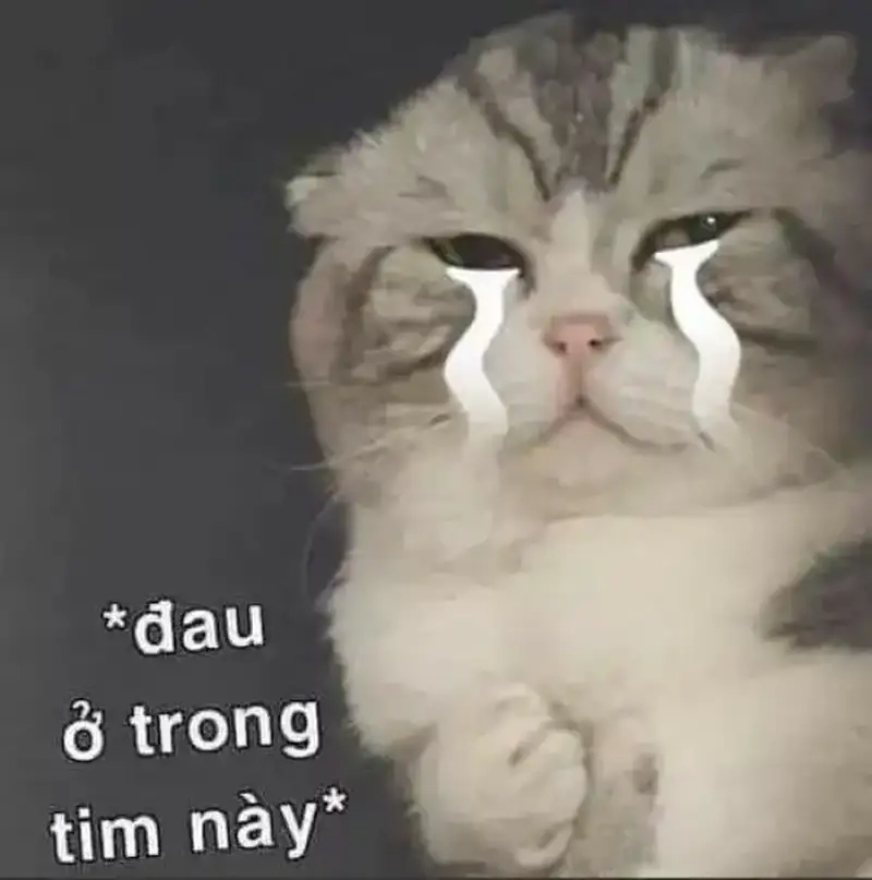 Đau ở đây này meme hài hước ai cũng muốn xem
