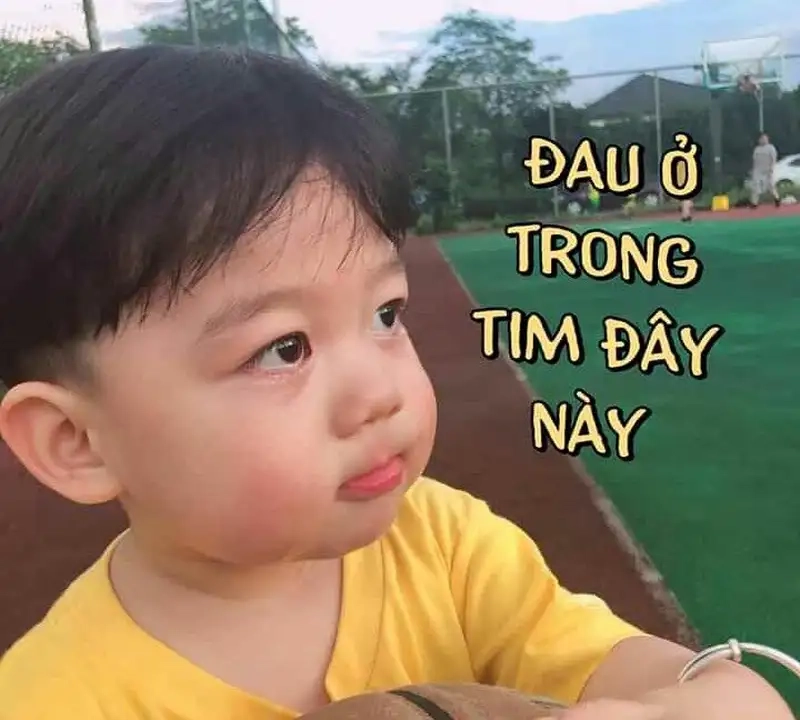 Meme mèo đau ở đây này gây cười cực mạnh trên mạng
