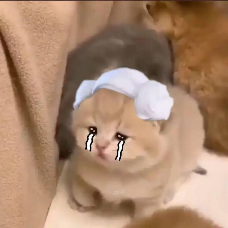 Meme buồn giấu đi nỗi đau sâu thẳm trong lòng
