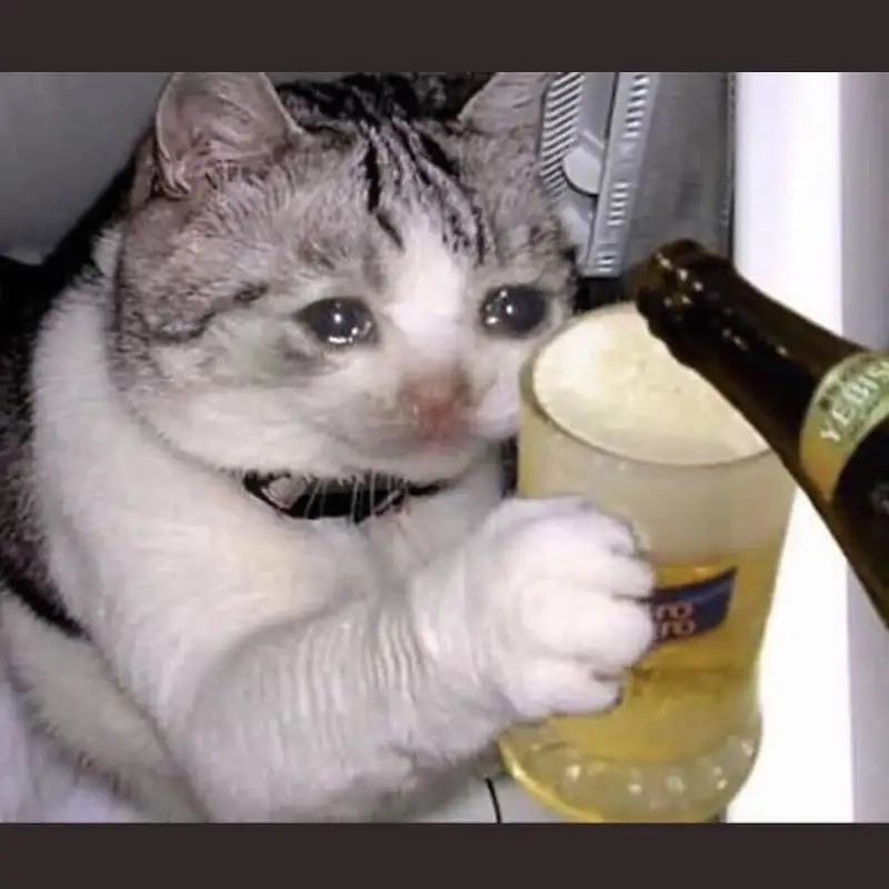 Meme buồn dành cho những tâm hồn sad boi