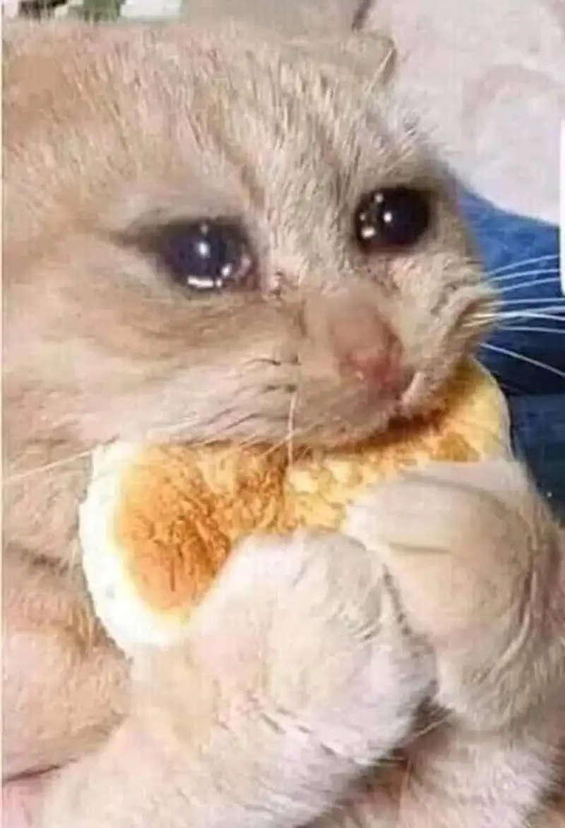 Meme buồn đồng cảm cùng cô nàng sad girl