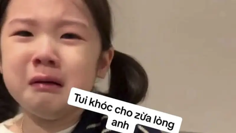 Meme buồn khiến tim bạn nhói khi khóc thầm
