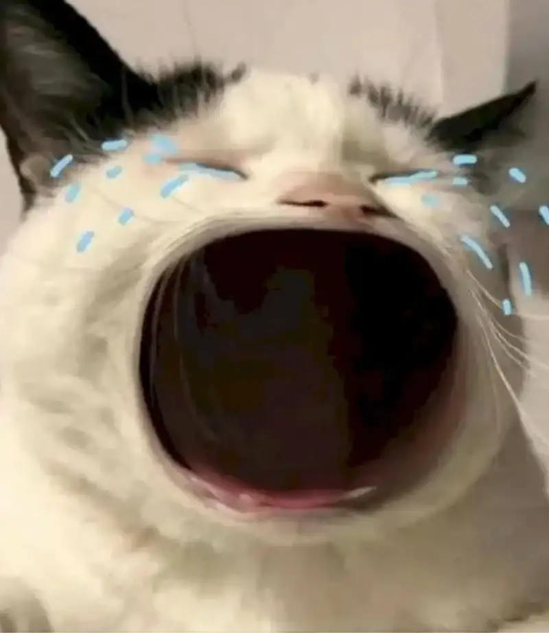 Meme buồn kể chuyện tình yêu tan vỡ đầy đau