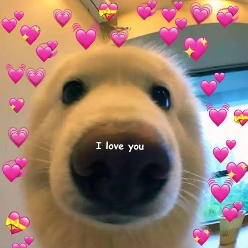 Khoảnh khắc ngọt ngào cùng meme chờ đợi là hạnh phúc