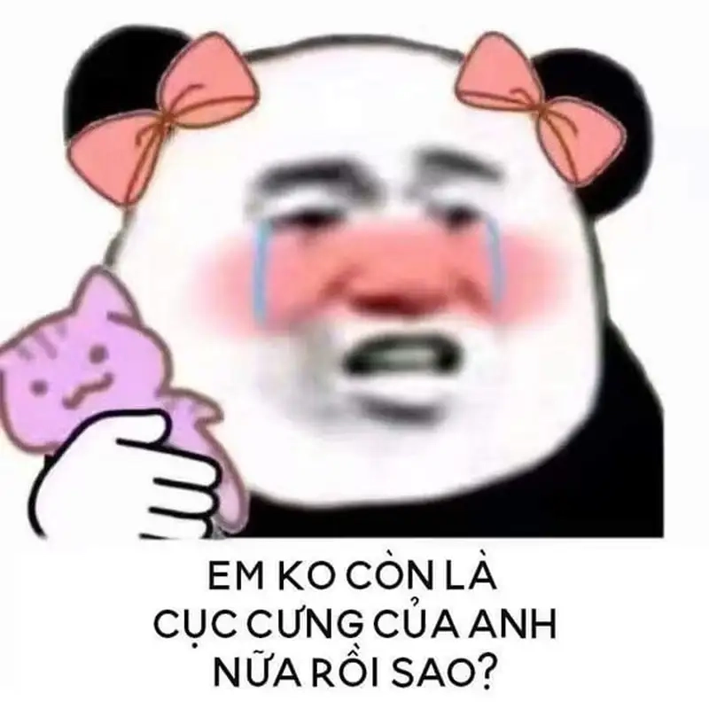 Lời chúc ý nghĩa qua meme chúc hạnh phúc