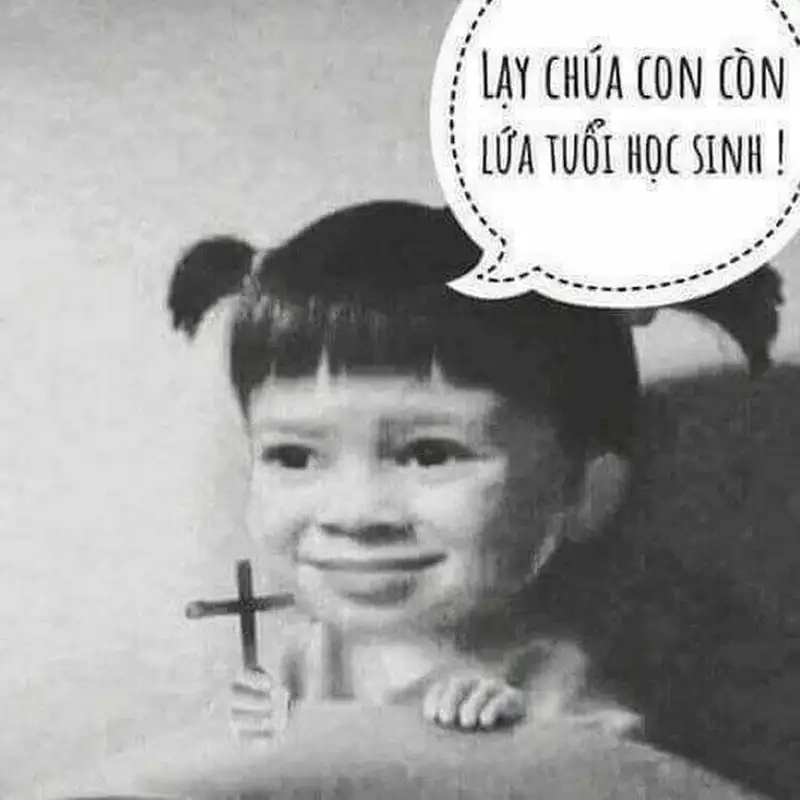 Bộ ảnh meme học sinh việt nam hài hước và gần gũi mọi thế hệ
