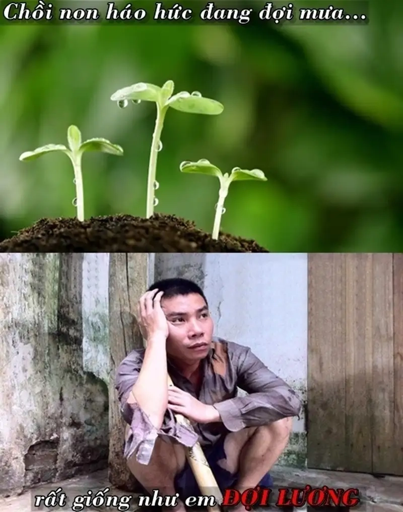 Meme trừ lương dí dỏm gây bão cộng đồng mạng