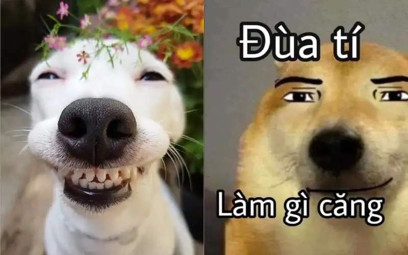 Meme mặt cười là như thế nào