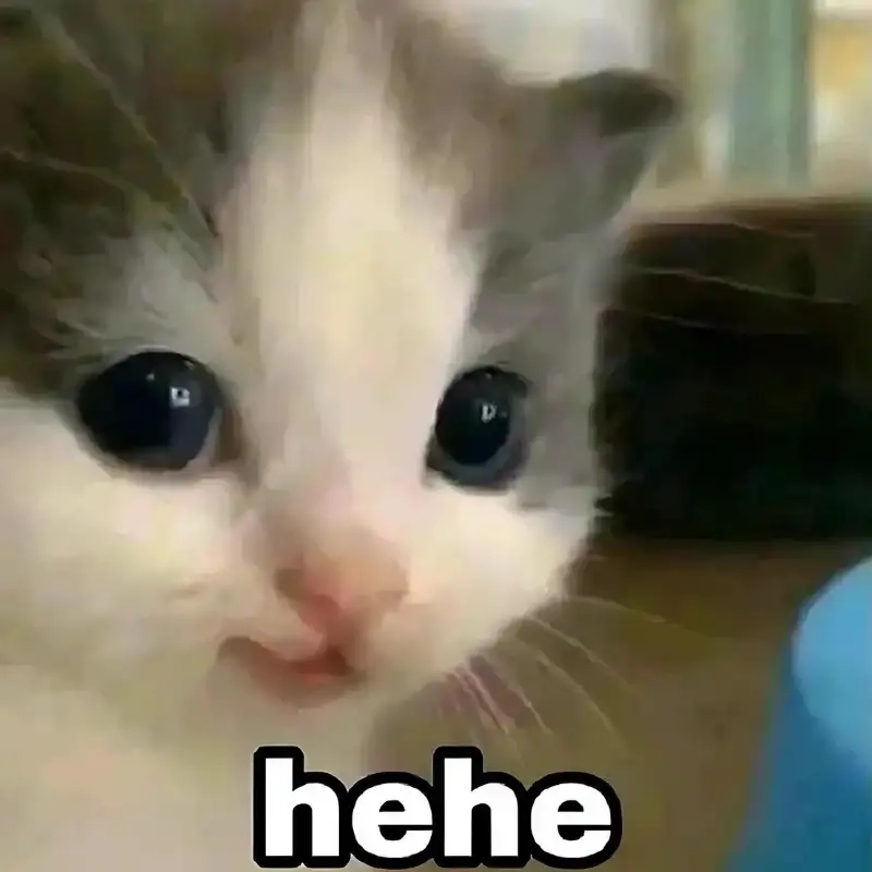 Khám phá ngay bộ sưu tập meme cười vào mặt cực chất