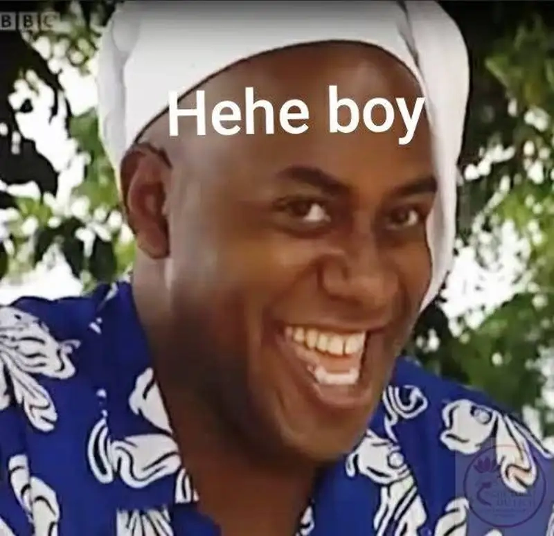 Dễ thương khó cưỡng với meme mèo cười vào mặt