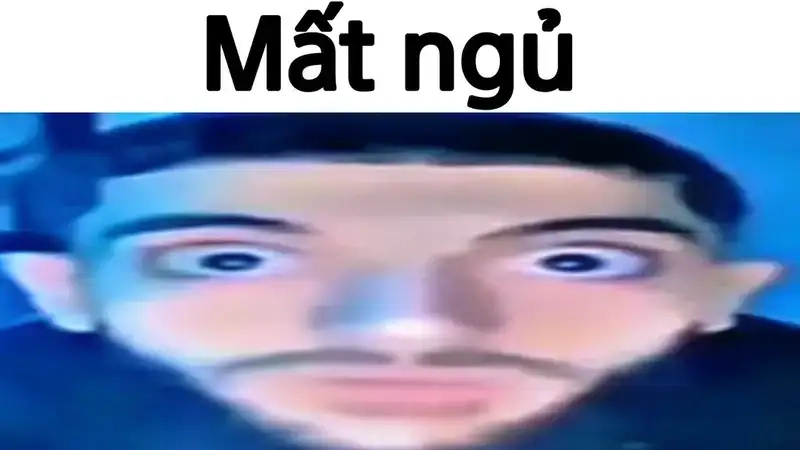 Tìm ảnh meme mất ngủ mới nhất để giải trí ngay