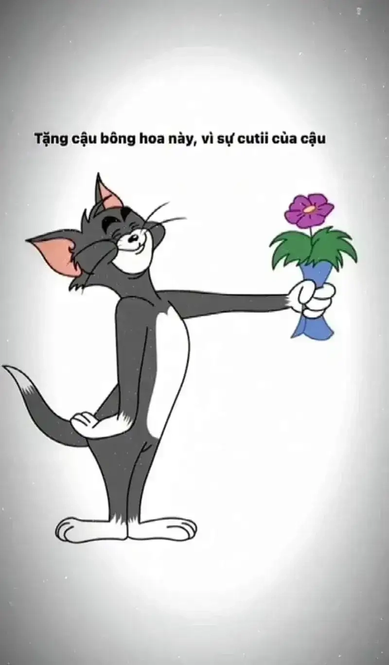 Tận hưởng phút giây thư giãn với meme con mèo tặng hoa hài hước