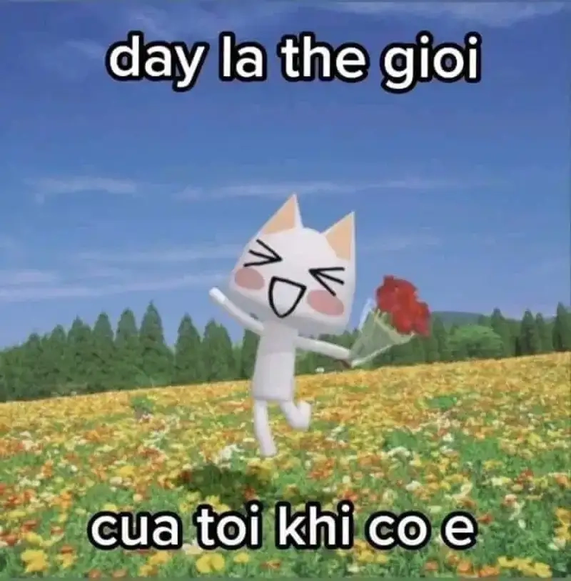 Meme mèo tặng hoa là như thế nào hấp dẫn người xem