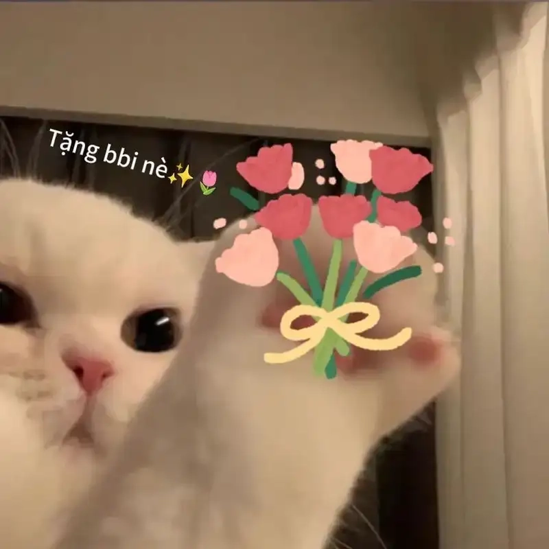 Thưởng thức bộ sưu tập meme tặng hoa dễ thương cho bạn