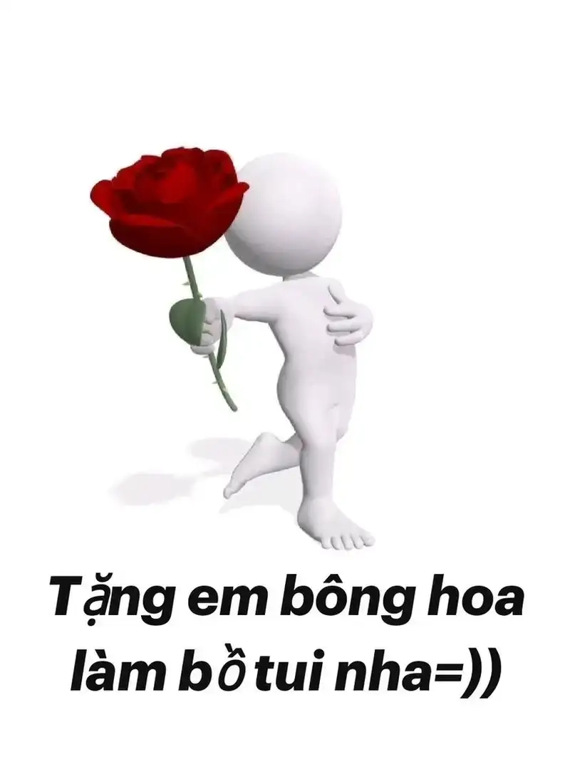 Khám phá những hình ảnh mèo meme tặng hoa hài hước và cute