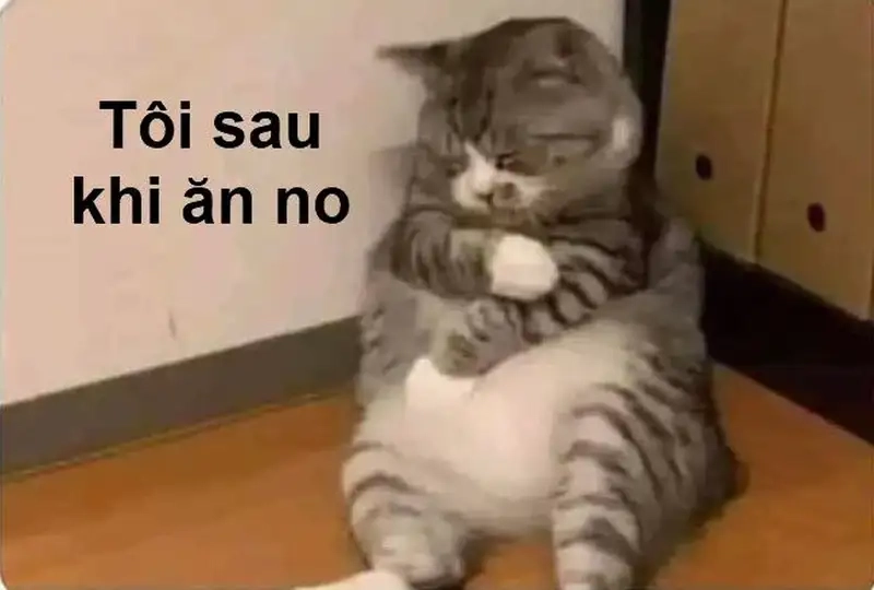 Bắt trọn khoảnh khắc với meme ngủ quá giờ trưa cực chất