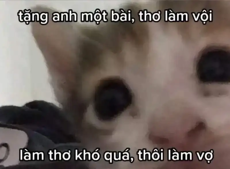 Meme thính vui nhộn khiến crush phải để ý bạn