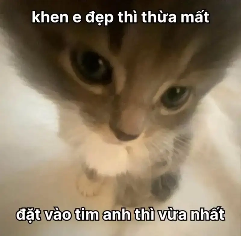 Meme thả thính crush tinh nghịch làm tim ai xao xuyến