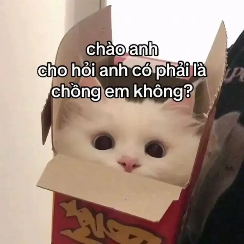 Meme thả thính vui nhộn cho ngày thêm vui