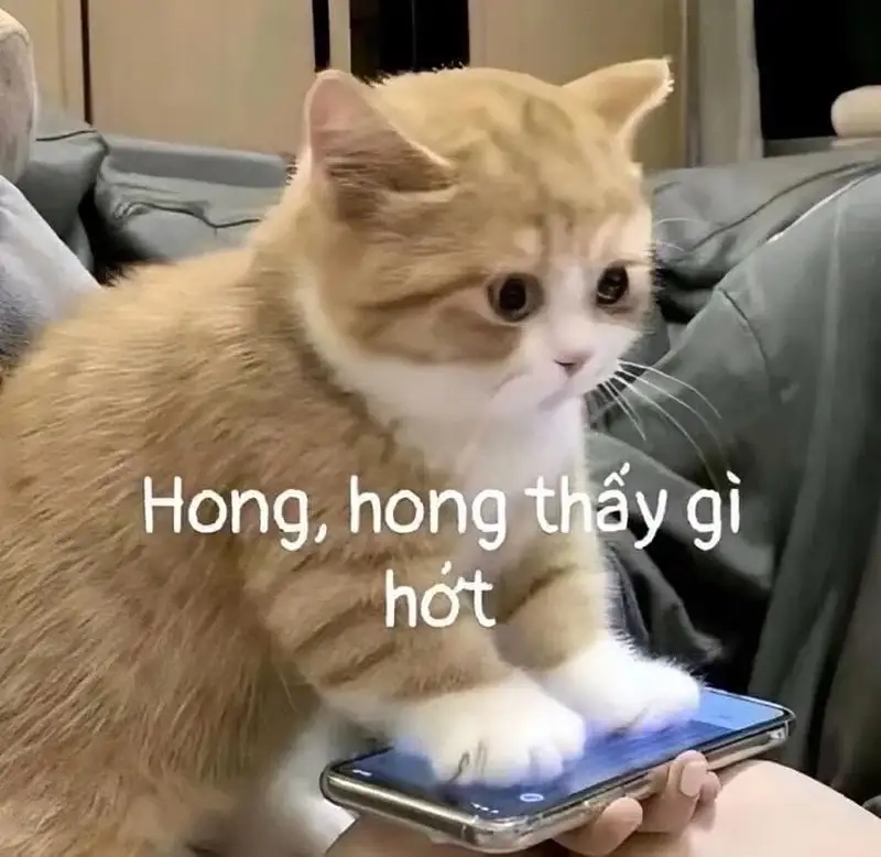 Cười xỉu với meme người đàn ông thất vọng đầy biểu cảm