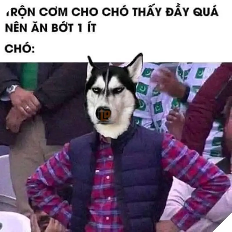 Khám phá ngay meme bác thất vọng về mày cực chất