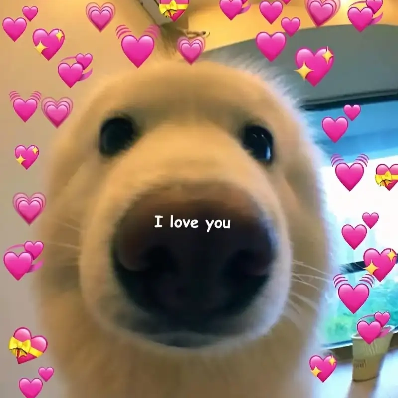 Cùng nhau cười với meme yêu nhau dễ thương vui nhộn